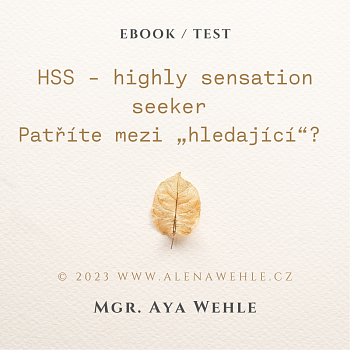 HSS seeking test – hledači vysokých prožitků