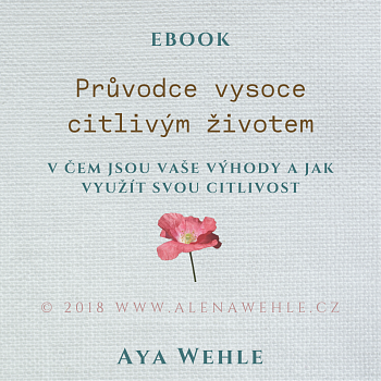 Průvodce vysoce citlivým životem